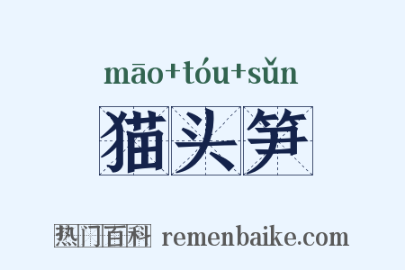 猫头笋是什么意思的图片